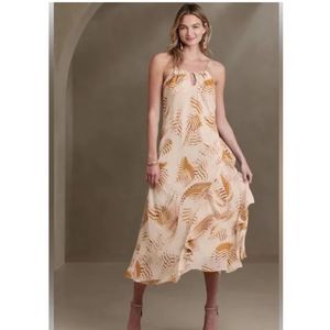 Banana Republic Ruffle Sun Dress